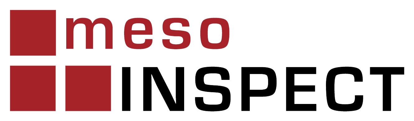 mesoINSPECT Logo