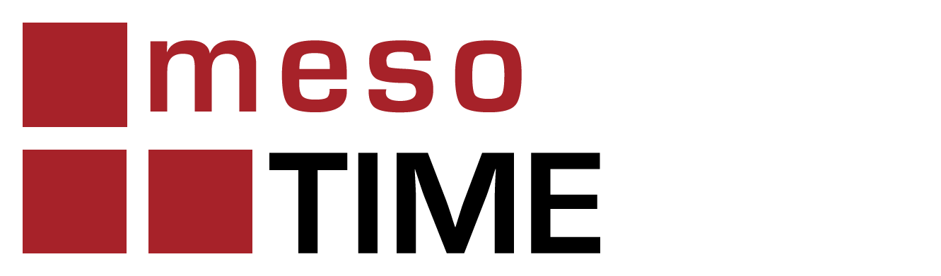 mesoShipping Logo